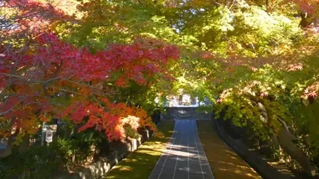 村岡地区
