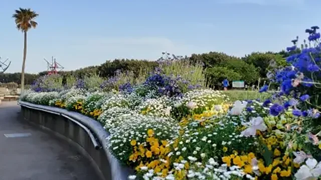 辻堂地区